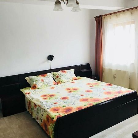 Vila Elite Apartman Brassó Kültér fotó