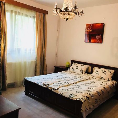 Vila Elite Apartman Brassó Kültér fotó